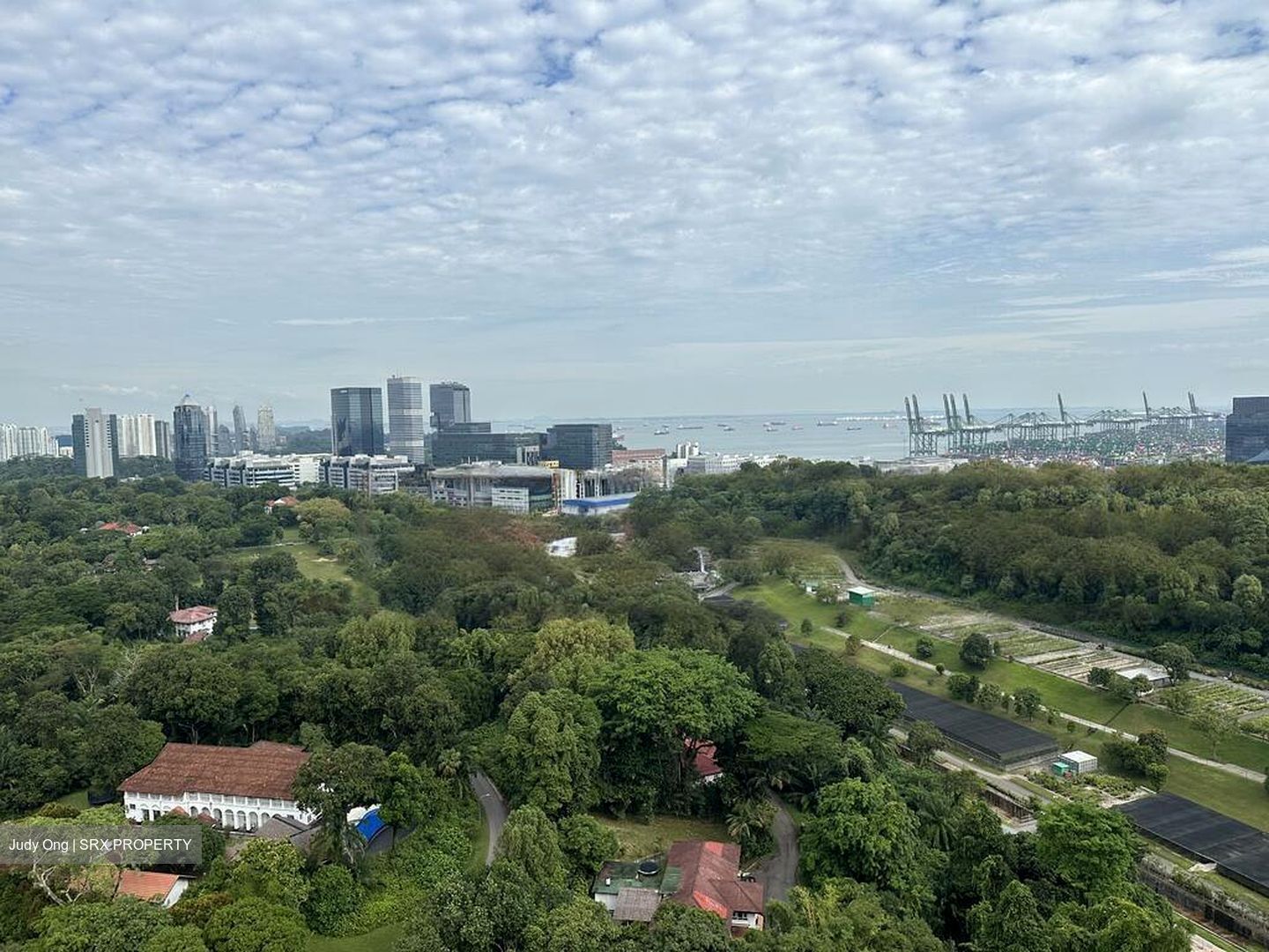 Normanton Park (D5), Apartment #454340701